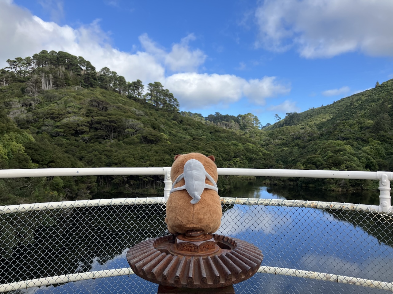 Photo of a capybara & fish plushie overlooking a New Zealand nature reserve